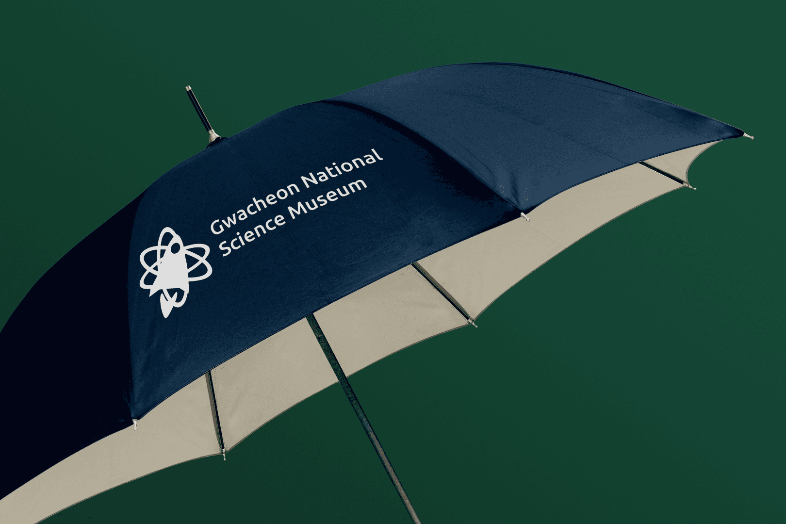 Image of umbrellas